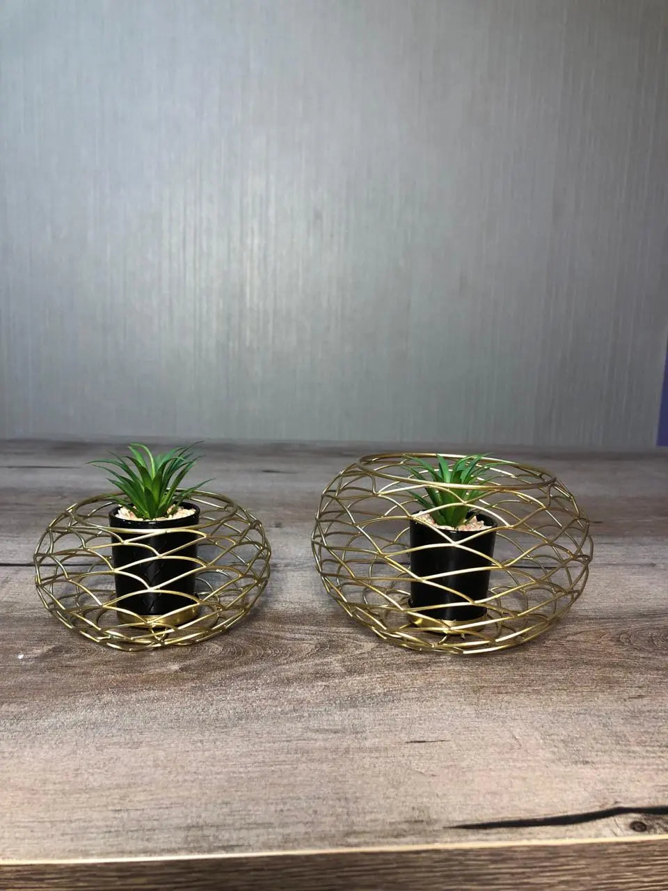 Metal Cage With Planter Holder, Flower Holder, Planter Pot, (Set Of 02) My Store