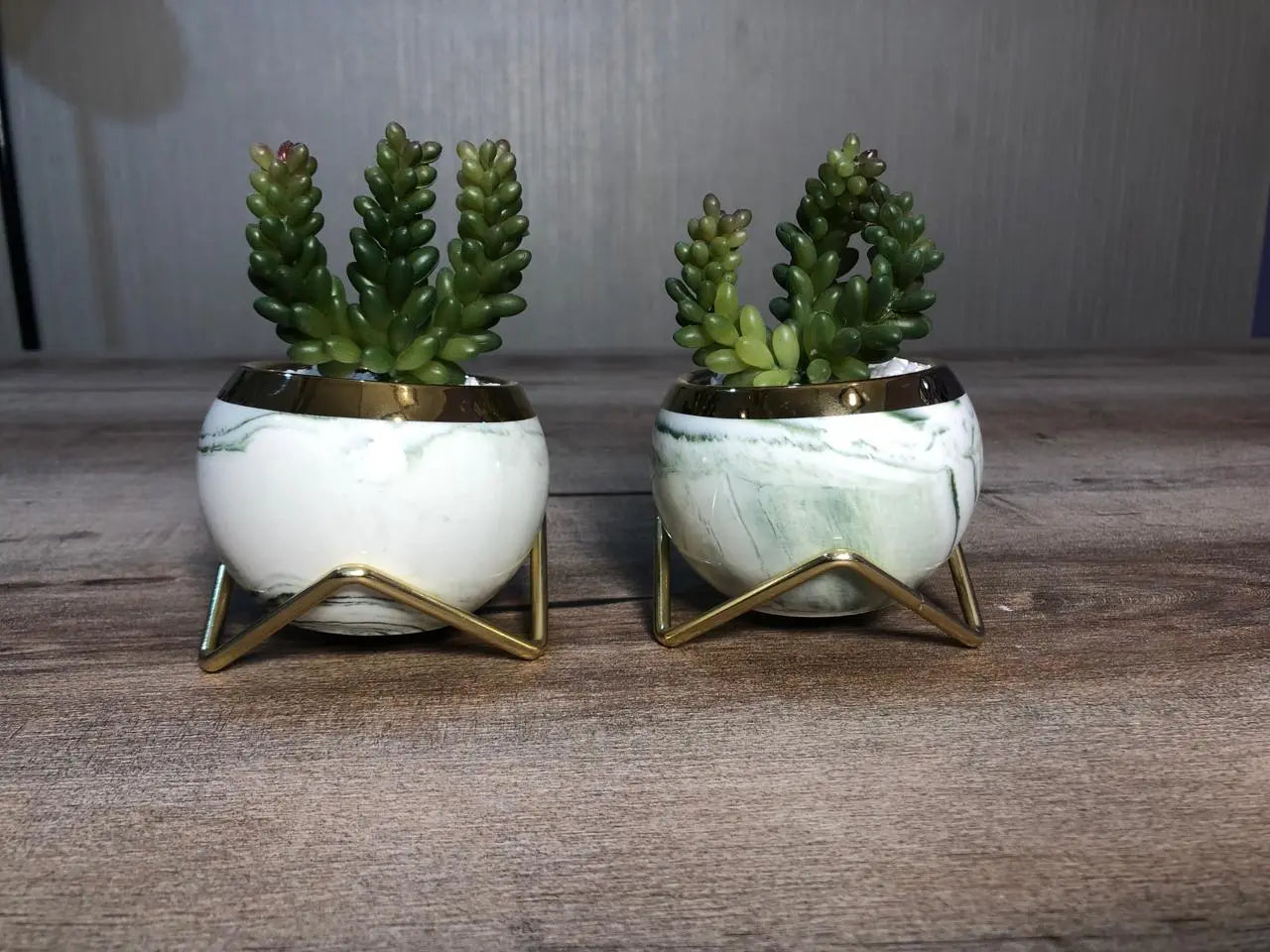 Cute Ceramic Succulent Pots, Unique Garden Pots with Drainage and Saucer, Modern Cactus Pots Planters for Gifts, Home Gardening and Office Desk Decorations, Mini Ceramic Round Cactus Plant Flower Pots in Marble Pattern Creative Garden Decor (Set Of 2) Samaar International