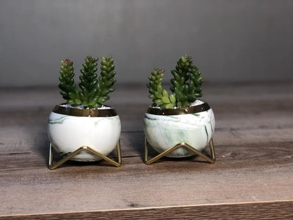 Cute Ceramic Succulent Pots, Unique Garden Pots with Drainage and Saucer, Modern Cactus Pots Planters for Gifts, Home Gardening and Office Desk Decorations, Mini Ceramic Round Cactus Plant Flower Pots in Marble Pattern Creative Garden Decor (Set Of 2) Samaar International