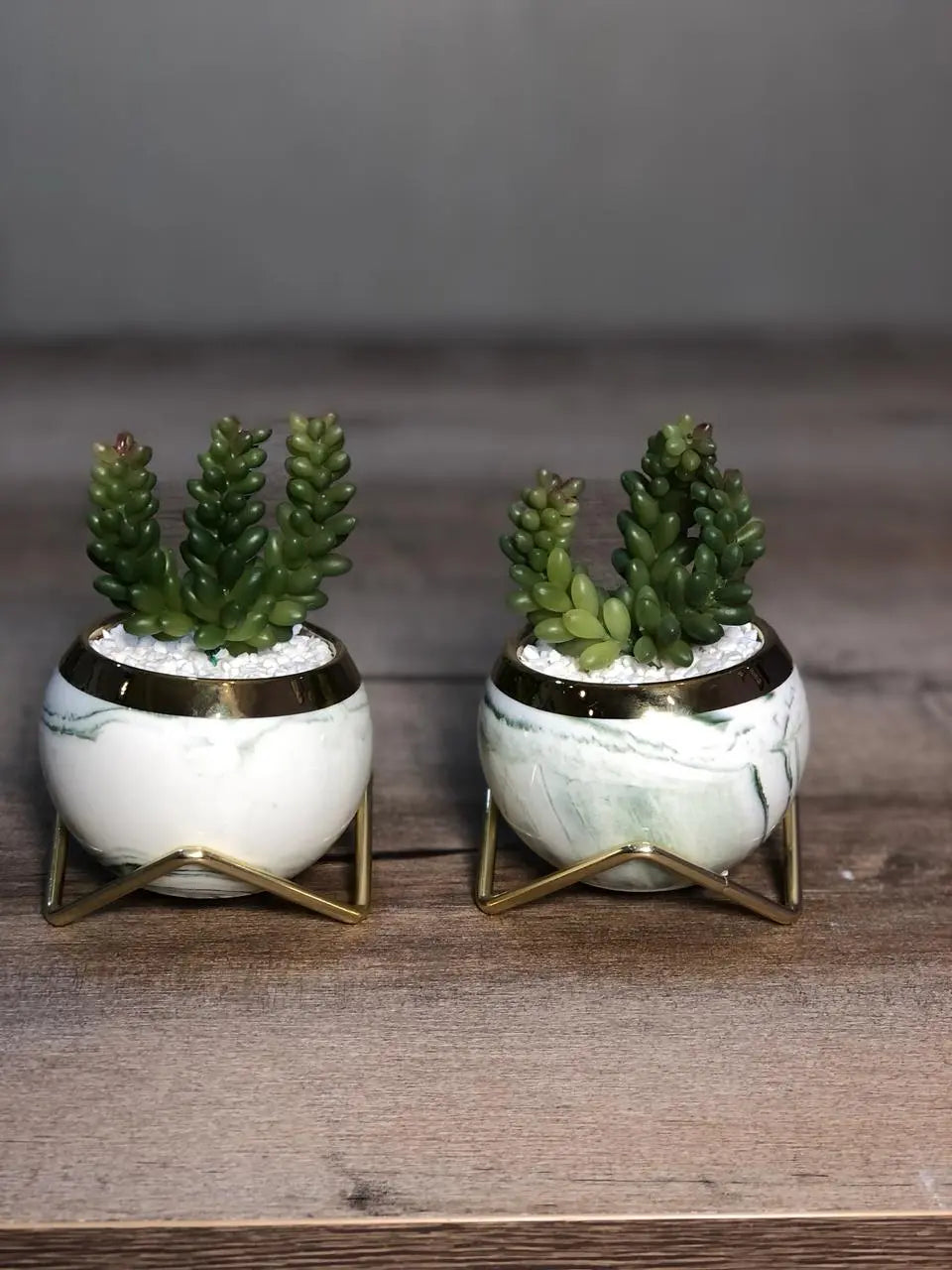 Cute Ceramic Succulent Pots, Unique Garden Pots with Drainage and Saucer, Modern Cactus Pots Planters for Gifts, Home Gardening and Office Desk Decorations, Mini Ceramic Round Cactus Plant Flower Pots in Marble Pattern Creative Garden Decor (Set Of 2) Samaar International