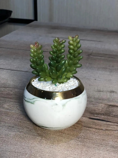 Cute Ceramic Succulent Pots, Unique Garden Pots with Drainage and Saucer, Modern Cactus Pots Planters for Gifts, Home Gardening and Office Desk Decorations, Mini Ceramic Round Cactus Plant Flower Pots in Marble Pattern Creative Garden Decor (Set Of 2) Samaar International