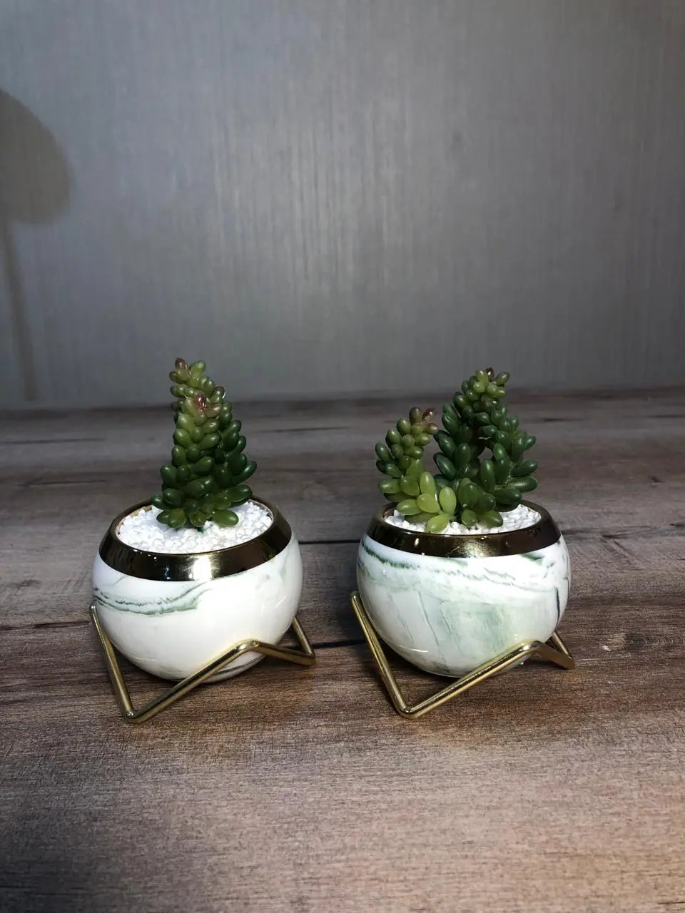 Cute Ceramic Succulent Pots, Unique Garden Pots with Drainage and Saucer, Modern Cactus Pots Planters for Gifts, Home Gardening and Office Desk Decorations, Mini Ceramic Round Cactus Plant Flower Pots in Marble Pattern Creative Garden Decor (Set Of 2) Samaar International