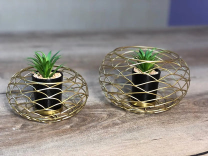 Metal Cage With Planter Holder, Flower Holder, Planter Pot, (Set Of 02) My Store